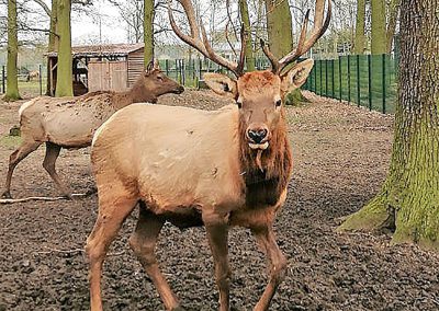 Tierpark Weisswarte